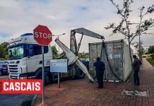Cascais adquire contentor frigorífico para eventual preservação de cadáveres Contentor cadáveres cascais