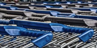 Pingo Doce e Lidl anunciam 800 novas contratações para reforço das equipas