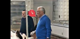 Covid-19: António Costa vai às compras