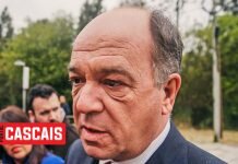 Democracia sim… mas quem manda sou eu Carlos Carreiras