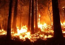 Risco muito elevado de incêndio em catorze concelhos de Portugal continental Risco Incêndio