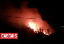 Fogo Cascais: Reactivação do fogo na Ribeira das Vinhas Incêndio-Cascais-noturno-2