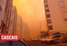 Incêndio de grandes proporções nas Varandas de Cascais chega perto de habitações Incêndio-Varandas-Cascais