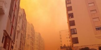 Incêndio de grandes proporções nas Varandas de Cascais chega perto de habitações Incêndio-Varandas-Cascais